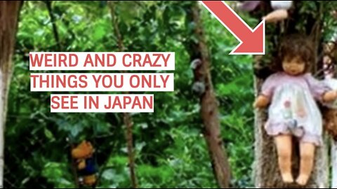 WEIRD and CRAZY Things You only see in Japan. SECRETS know one wants you to know About |