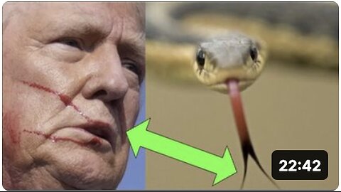 Trumps SERPENT TONGUE!!! "You knew i was a snake before you took me in!"