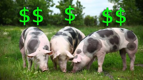 Making $36,000/Year Raising Pigs (Find Out How) | Side Hustle Review