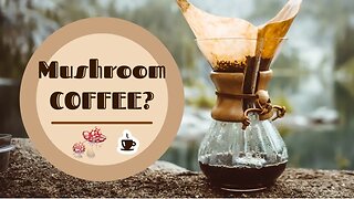 "The Ultimate Guide to Mushroom Coffee: What it is and Why You Should Try it"