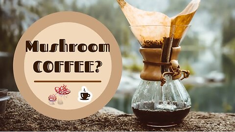 "The Ultimate Guide to Mushroom Coffee: What it is and Why You Should Try it"