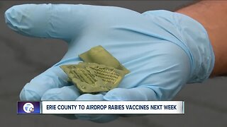 Erie County Department of Health to airdrop rabies vaccines for local wildlife population