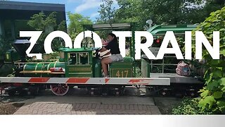 Cincinnati Zoo Train