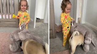 Little Girl With Infectious Giggles Plays With Her Pug