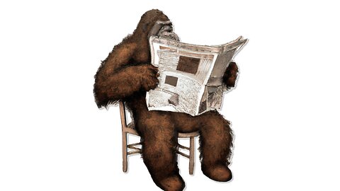 Bigfoot News Stories