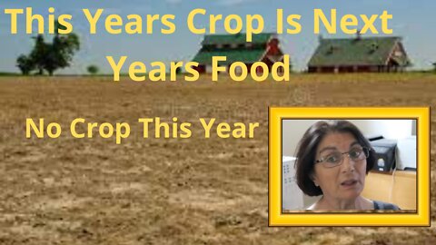 A Warning From A Farmer- This Year’s Crop Is Next Year’s Food. No Crops This Year?