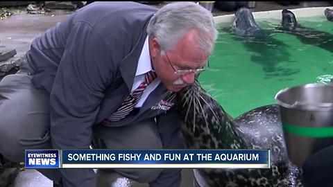 Something fishy and fun at the Aquarium of Niagara