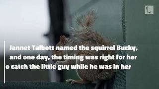 Woman Plucks Squirrel with Overgrown Teeth From Bird Feeder, Trims Them at Home & Saves His Life