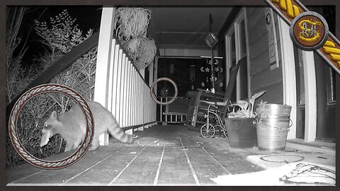 Trailcam 6 Front Porch Under the Bench iZeeker IG600 Dual Lens