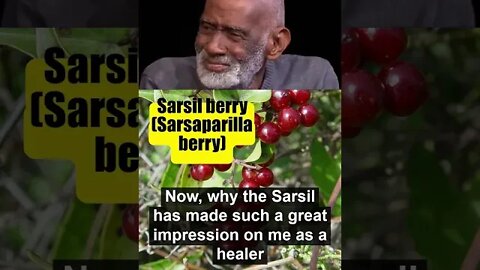 DR SEBI - GREAT SOURCE OF IRON - SARSIL (SARSAPARILLA BERRY) - Pt.1 #shorts #drsebi #irondeficiency