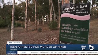 Teen arrested for murder of hiker
