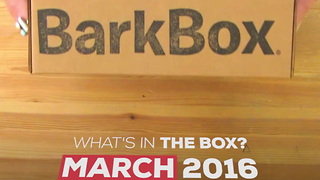 Bark Box Unboxing - March 2016