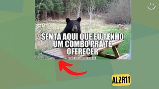 #alzr11 Veja Fato Relevante....