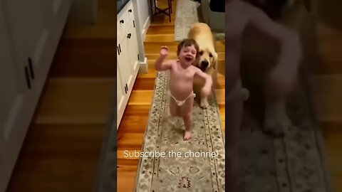 Dog play with cute kid #entertainment