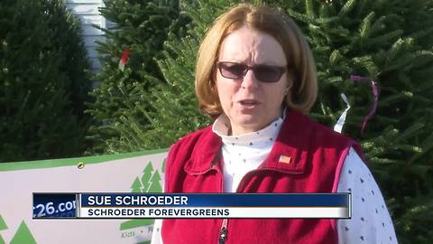 Trees for Troops helps military families