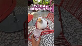 Hello Sippy 💦🦢🎀