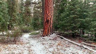 SILENT 4K GORGEOUS & RELAXING Winter Snow Hiking! | Edison Sno-Park | Deschutes | Central Oregon