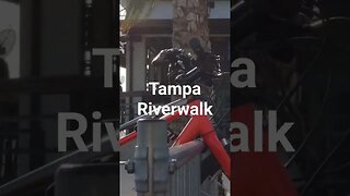 Sunshine & Riverwalk! Tampa, FL #shortsvideo #shorts #short