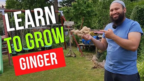 How To Grow Ginger In Cold Climates