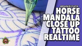 Horse Mandala Real Time Close Up Tattoo
