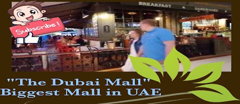 The Dubai Mall | Biggest Mall | UAE Malls