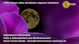 Engelwesen Channeling - Liebe & Geborgenheit zum Weihnachtsfest - durch Carina Hauke