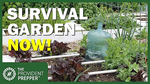 Time to Plant Your Survival Garden! Anyone Want Free Seeds?