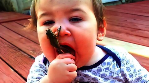 1001 Funny Reactions When Babies Meet Insect