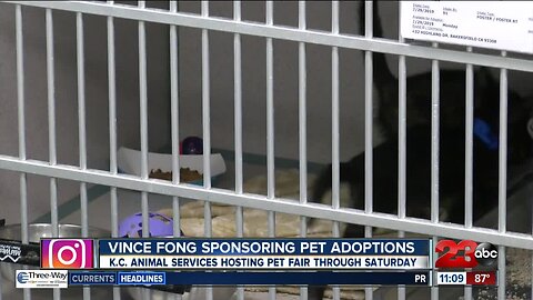 Vince Fong sponsors first 100 pet adoptions