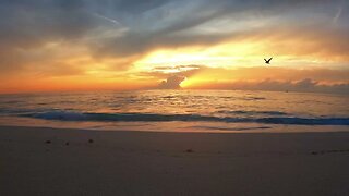 Memorial Day Magic: Bimini Bahamas Beach Timelapse 2023