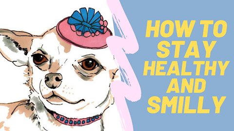 How to stay healthy this smiley, Animals SO Cute!!!!