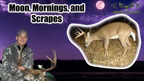 Moon, Mornings, and Scrapes for Big Buck with Josh Beaman