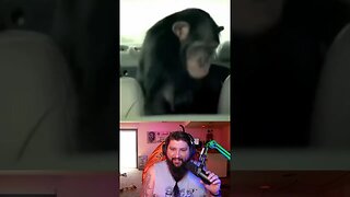 Trunk Monkey Commercial