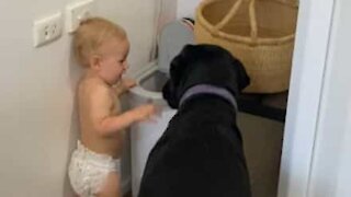 Baby fodrer hunden i smug