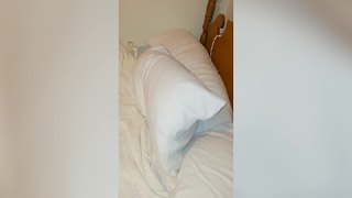 Funny Dog Loves To Hang Out In A Pillowcase