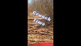 Jeep XJ Drives Over Fallen Brush - Crunchy Fun #shorts