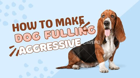 How to make dog fully aggressive