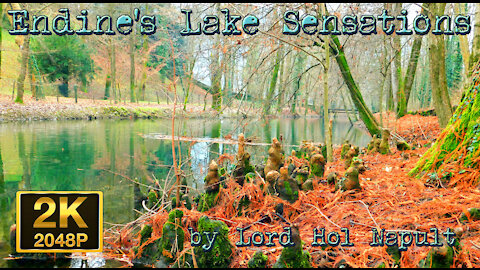 Endine's Lake Sensations