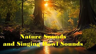 Nature Sounds and Singing Bowl Sounds (30 Minute Relaxation)