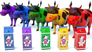 Learn Colors With Milk Cows for Kids