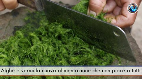 Alghe e vermi la nuova alimentazione che non piace a tutti