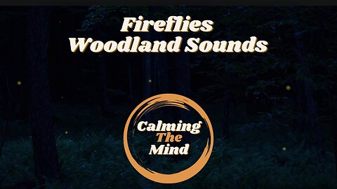 5 Hour Fireflies and Woodland Sounds | Sleep | Study | Meditate | Screen Background