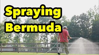 Bermudagrass Reset MOST Efficient DIY Homeowner Lawn Care Sprayer