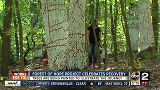 Forest of Hope project aims to shatter the stigma of recovery with deeply personal art project