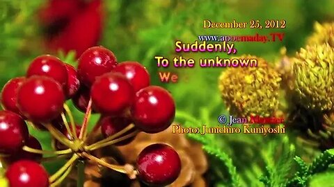SUDDENLY - (Merry Christmas!) - Love Poems / Inspiration / Philosophy quotes of famous persons
