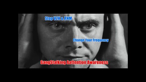 Stop the Voices - V2K & RNM - Targeted Individuals - Gang Stalking - Schizophrenia