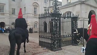 Horse farts changing of the guards #horseguardsparade