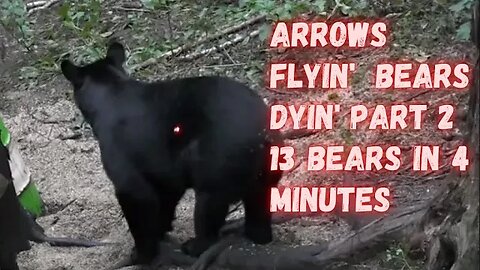 Bear Hunting ARROW IMPACTS - 13 bears shot in less than 4 minutes