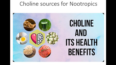Choline sources for nootropics