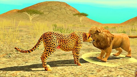 Wild Cheetah Sim Vs Lion Vs Giraffe Vs Deer Prey Android Gameplay and stunt master 3D